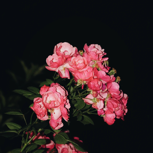 国产Chinese男男Gay 呻吟 骚受
